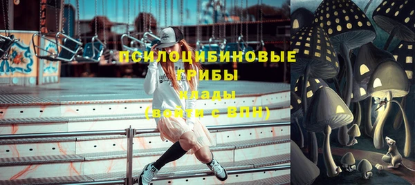 винт Алексин