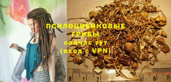 гашик Ростов