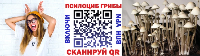 Псилоцибиновые грибы мухоморы  Десногорск 