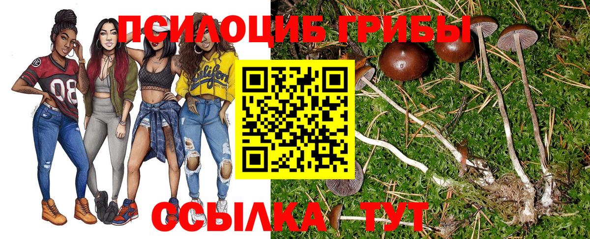 Десногорск  Псилоцибиновые грибы мицелий  где купить наркоту  Вход с VPN  Псилоцибиновые грибы мухоморы 